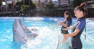 Selwo Marina akvarium