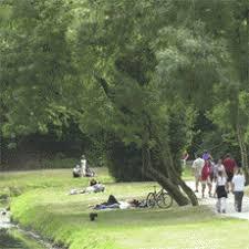 Le parc Charruyer