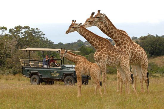 Kragga Kamma Game Park