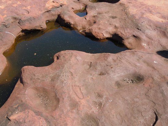Matsieng's Footprints