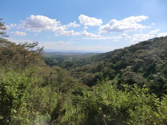 Elephant Caves