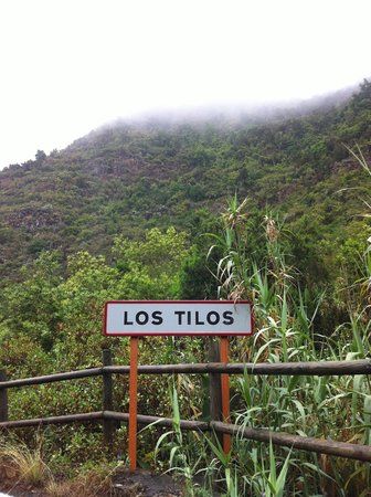 Los Tilos de Moya
