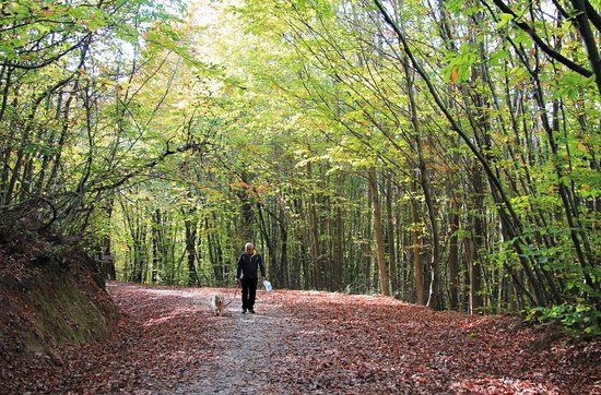Polonezkoy Nature Park