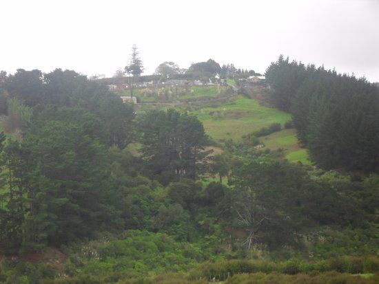 Mangemangeroa Reserve