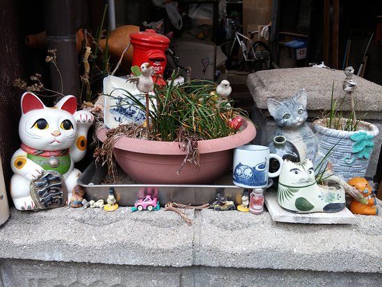 Cat Alley