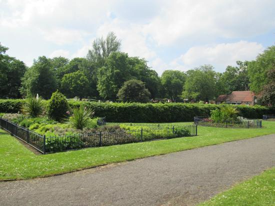 Pearson Park