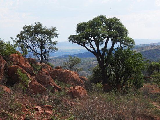 Klipriviersberg naturreservat