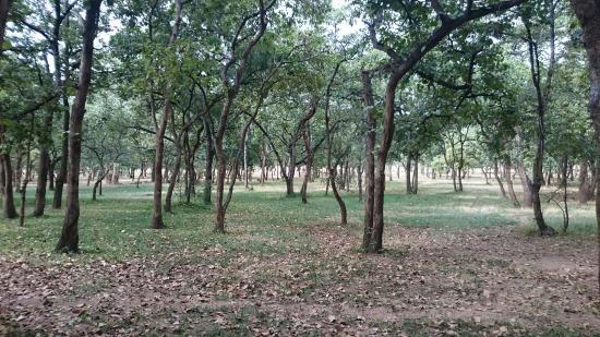 National Herbarium & Botanic Gardens of Malawi