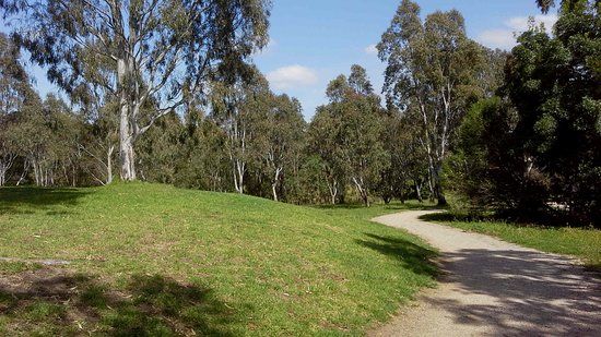 Harry Pottage Reserve
