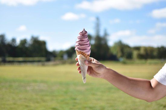 Ruakura Berry Farm