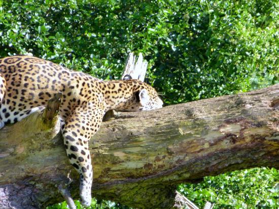 Jukani Wildlife Sanctuary