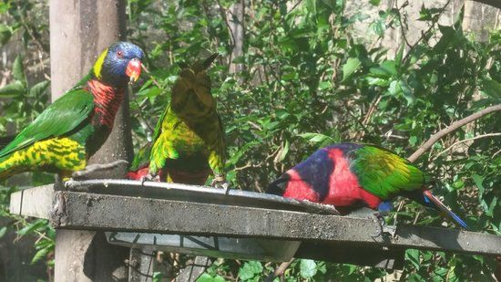 Umgeni River Bird Park