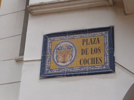 Coches-plassen