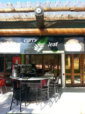 Curry Leaf