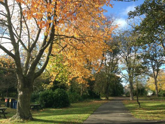 Leazes Park Lion Sculture