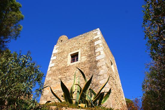 Torre da Medronheira