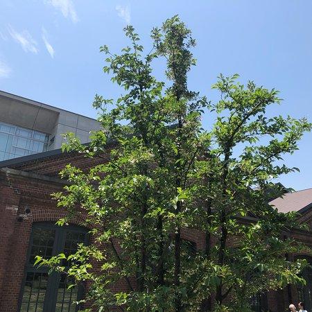 Atelier de Reve Akarenga Cafe