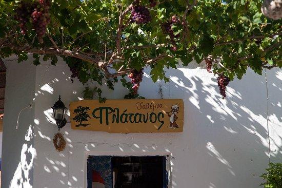 Platanos Taverna