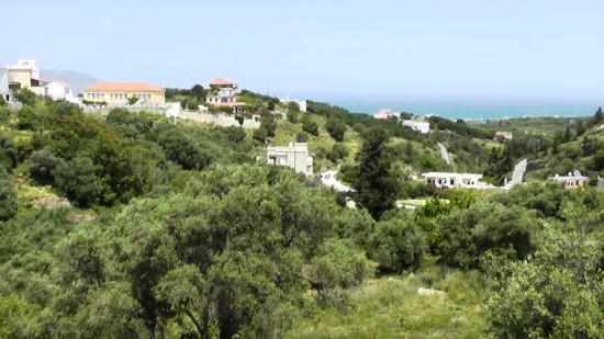 Taverna Kavapivia