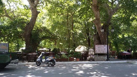 Steki Kapri Restaurant