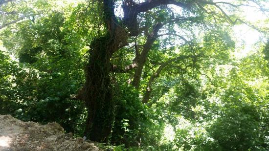 The Watermill Museum