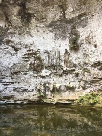 Cenote Xux Ha