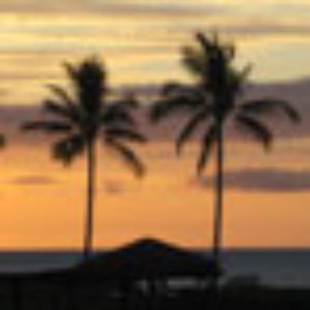 Atrium Brasserie Restaurant Busselton