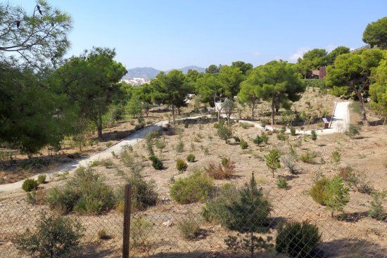 Detunda Botanical Garden