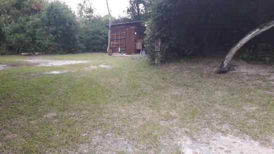 Ilala Palm Lodge