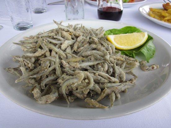 Jadran