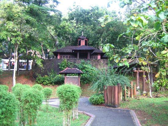MBJB City Forest
