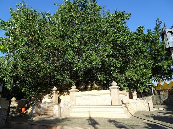 Kundasale Mahamewna Meditation Centre