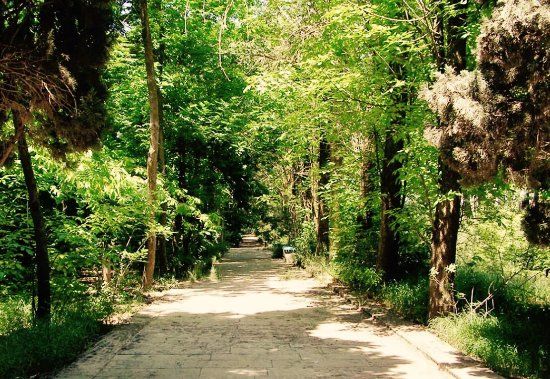 Central Botanical Garden of National Academy of Sciences of Azerbaijan