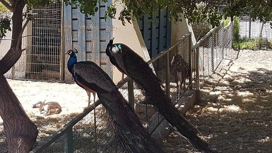 Agadir Birds Valley