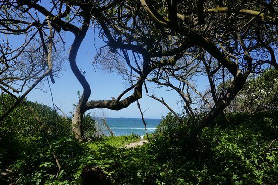 Natuurreservaat Umhlanga Lagoon