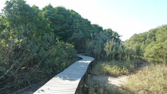 Beachwood Mangroves Nature Reserve