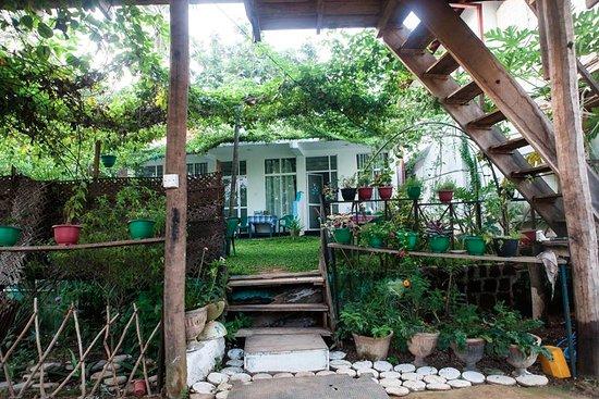 Moonlight Guesthouse & Restaurant