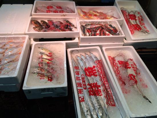 Osaka Municipal Wholesale Market Honjo