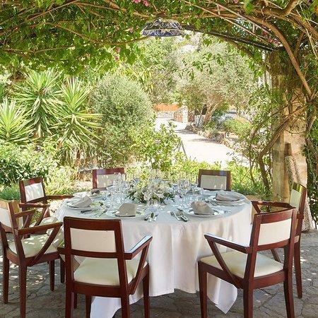 Placeta Garden