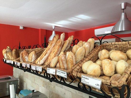 Hotdog & Coldcat DELI SHOP