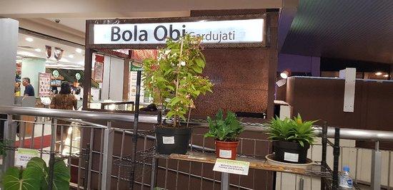 Bola Obi Gardujati