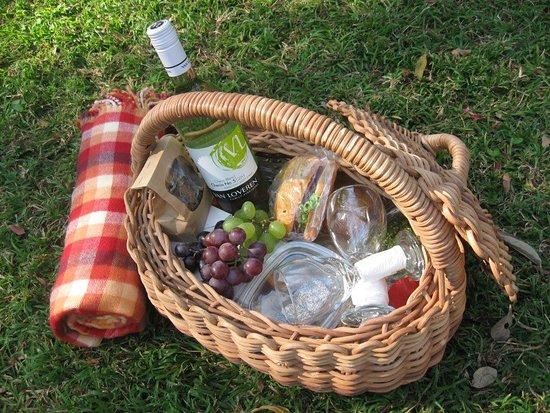 Red Leaf Fig Teagarden