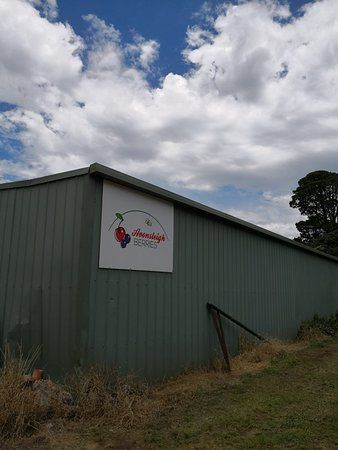 Avonsleigh Berries