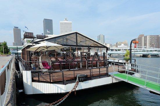 Coral Kitchen at Sea