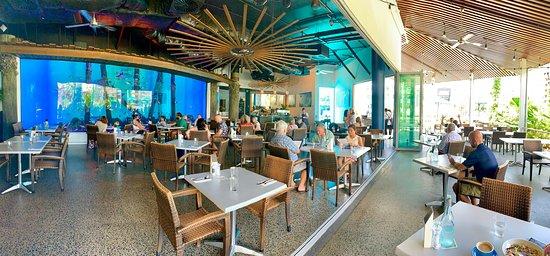 Dundee's at the Cairns Aquarium