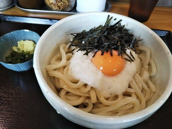 Nikuju Udon Kochiya