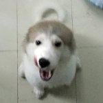 Goryonsan Nishiazabu