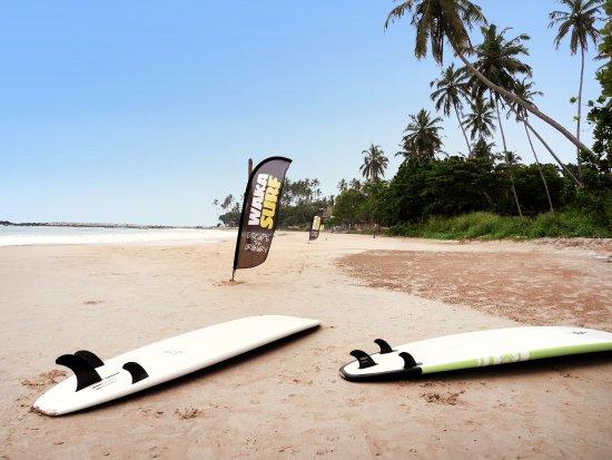 Waka Surf