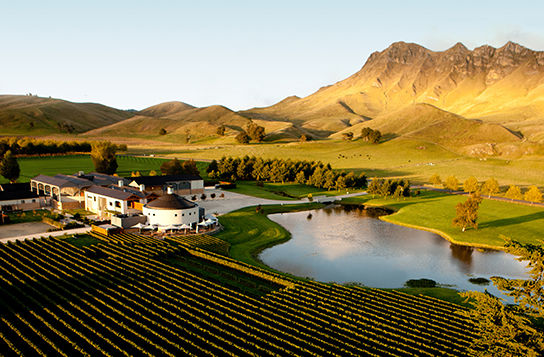 Craggy Range Vineyards