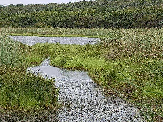 Natuurreservaat Bluff